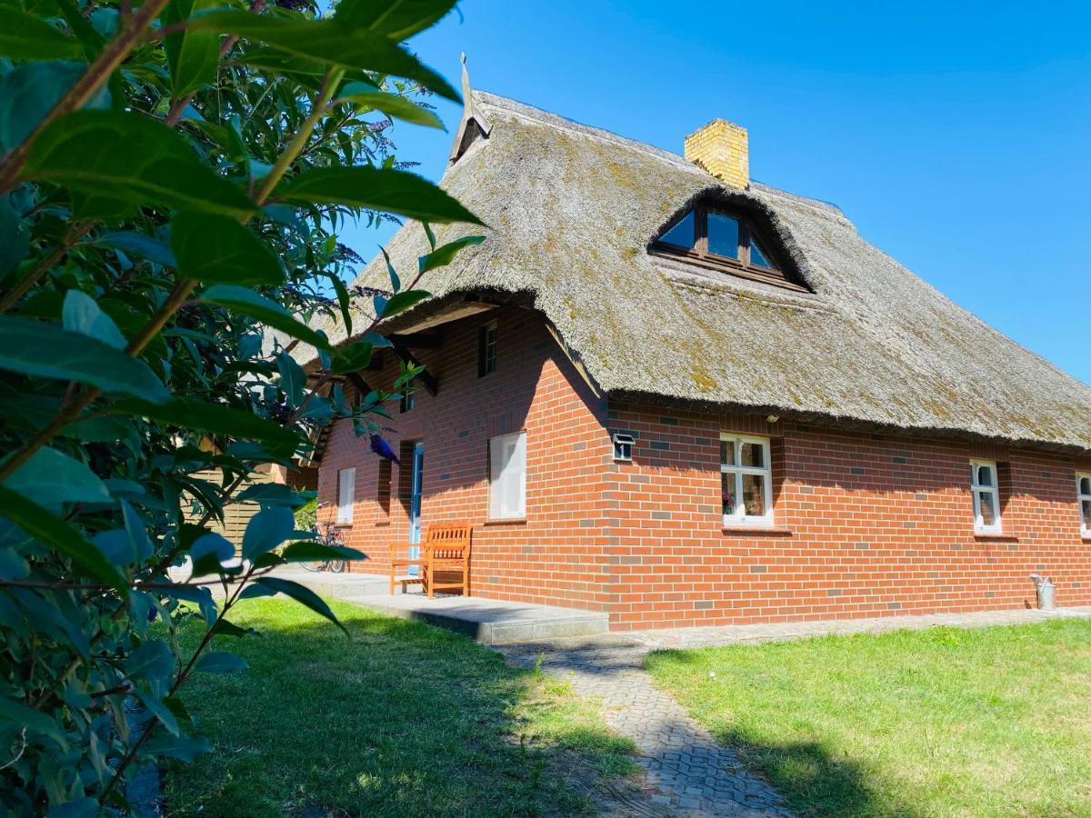 Unter Dem Reetdach Apartment Wustrow (Fischland)